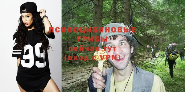 шишки Алексин