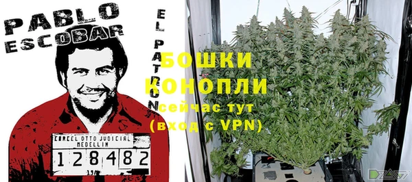 шишки Алексин
