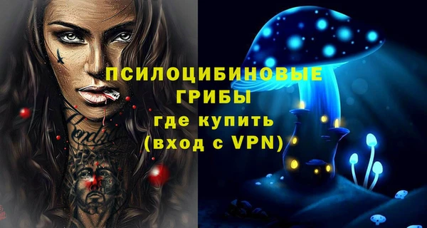 шишки Алексин