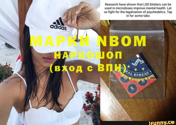 шишки Алексин